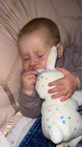 Lost Sentimental Bunny Toy in Limeridge, Hamilton