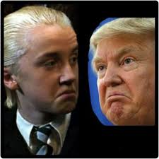 Pin On Funny As Fuck Vol 2