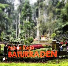 Adapun rencana penyusunan koleksinya adalah berdasarkan biogeographic region, yang meliputi Telan Biaya Rp44 7 Miliar Kementerian Pupr Rampungkan Penataan Kebun Raya Baturaden