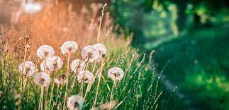 But with local eateries hanging on for dear life, it's hard to celebrate. Natur Visitnyborg