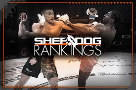 Marcin tybur tybura is a polish professional mixed martial artist in the ufc heavyweight division. Sherdog S Official Mixed Martial Arts Rankings Twice As Nice