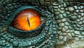 Vor 65 millionen jahren starben die dinosaurier aus. Darum Sind Dinosaurier Ausgestorben News At