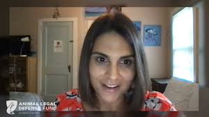 2021 Advancement of Animal Law Scholarship Recipients