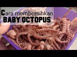 5 resep mudah masakan seafood ala korea cocok banget . Cara Membersihkan Gurita Dengan Mudah Youtube