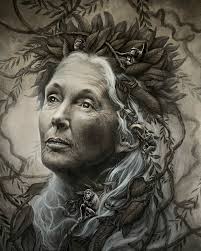 Raise your hand if you've seen a...