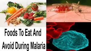 malaria fever diet foods to eat and avoid during malaria