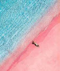 Mobil warna muda labuan bajo foto pantai pink beach lombok timur rute cara jalan menuju lokasi indonesia pulau komodo island sand flores wisata bali pasir banyuwangi malang sejarah ntt ntb. Pink Beach Lombok Island Wallpaper Pink Sand Beach Pink Beach