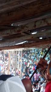 Profile for Manolo Olivares