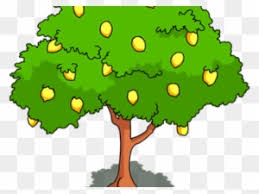 Clipart Of Mango Tree With Ripe Fruits Free Clip Art Drawing Of Mango Tree Free Transparent Png Clipart Images Download Draw an astronaut · art projects for kids. clipart of mango tree with ripe fruits