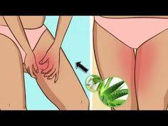 18 Natural Ways To Get Rid Of Silverfish Life Hacks Peeling Natur