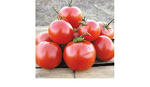 Loja especializada em farinhas especiais para pães, pizzas e massas frescas, azeites, fermento, molhos de tomate e acessórios. Bio Samen Manitoba Tomate Konventionell Und Biologisch 1 G Amazon De Garten