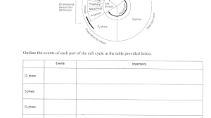 Cell Cycle Coloring Worksheet Best Of Mitosis Coloring Answers Redbirdcolor In 2020 Color Worksheets Cell Cycle Back To School Funny