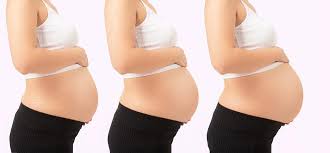 Ab wann sieht man den babybauch? Ablauf Einer Schwangerschaft