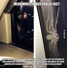 Pretty Sure Australia Is The Birthplace Of Satan Australia Funny Aussie Memes Funny Aussie