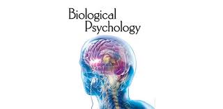 If you can answer 50 percent of these science trivia questions correctly, you may be a genius. Quiz Intro To Psychology Biopsychology Proprofs Quiz