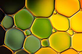 Oil And Water Macro Photography Water Still Life Photography Macro Photography Abstract