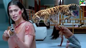 Tiger and Lion Safari -National Park ...