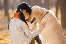 Another subtle way dogs show love is by sleeping with their head or paw on your knee or foot. Dogs Gaze The Reason They Bond With Us Time