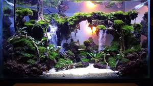 Mix it in very small batches as it sets very quickly! Aquascaping Definitive Guide With 25 Best Aquascaping Ideas