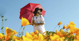 8:my house is much bigger than yours but our garden is smaller. Umbrella Manufacturer Custom Umbrellas Logo Umbrellas