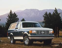 Image result for Wild Strawberry 1991 Bronco