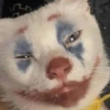 X 1080 cat meme 1080x1080 pixels sad cat reaction image sad cat juul cat problem meme coughing cat meme 1080 cute sad anime cats computer cat meme dank meme cat smiling sad cat meme 1050 x 672 sad cat meme hd sad cat butter meme. Pin On Memes