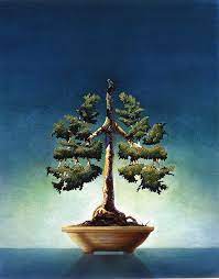When growing bonsai you can choose from seeds or small cuttings that come from young trees. Bonsai Tree Painting By John Rowe