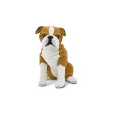 Pin On Bulldog
