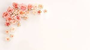 Maybe you would like to learn more about one of these? Bunch Of Rose Gold Flowers In White Background Hd Rose Gold Wallpapers Hd Wallpapers Id 59937