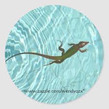 Swimming Lizard Stickers Lizard Swimming Pool Unusual Blue Swim Swimming Swimmer Zazzleproducts Giftideas Gif Lizard Custom Stickers Stickers Custom