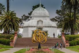 We did not find results for: Local Guides Connect Conservatory Of Flowers Golden Gate Park San Fra Local Guides Connect