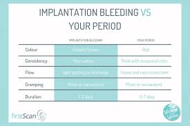 Unlike a menstrual period, spotting some women when they first get pregnant can spot, but you should always see your doctor if you are spotting. Implantation Bleeding In Early Pregnancy Window To The Womb