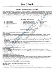 sample resumes  resume success