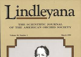 Image result for Platycoryne crocea