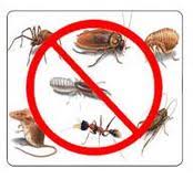 How would you rate this store?. Pest Force Midlothian Texas Proview