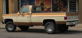 Image result for Beige 1979 GM