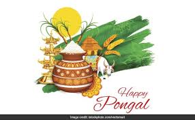 Happy pongal religious traditional festival of tamil nadu india. Pongal 2021 When Is Pongal Date Time And A Planned Menu For The Festive Fare Recipes Inside Ndtv Food
