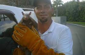Boca raton pest control and termite control services are a necessity for homes in florida. Pest Control Service By Service Plus 20283 State Road 7 Boca Raton Fl 33498 Yp Com