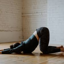 We did not find results for: Yoga Foundations Slowlane Yoga