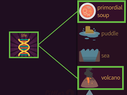 Check out our complete guide with little alchemy 2 cheats and there are 29 combination items you can make with a deity in the new little alchemy 2 update. How To Make Life In Little Alchemy With Pictures Wikihow
