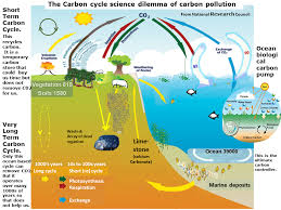 short & long term carbon cycle  carbon