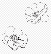 1 overview 2 abilities 3 known users 4 references demon slayers that have awakened the demon slayer mark can utilize a special form of extrasensory perception ability. Transparent Flower Outline Png Png Download Vhv