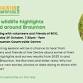 2025 wildlife highlights in and around Braunton event image