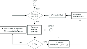 Flow Chart Of The Crossover Process Download Scientific