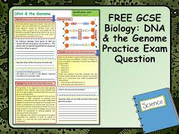 Free Gcse Biology Science Dna The Genome Practice Exam Question Practice Exam Gcse Science Revision Exam