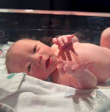 Maxwell Howard Obituary