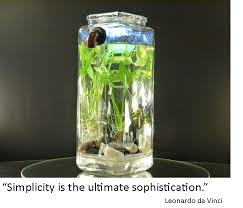 Noclean Aquariums Self Cleaning Betta Fish Tank Betta Fish Tank Self Cleaning Fish Tank Cleaning Fish