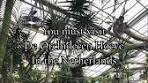 Explore Junglepark Pantropica in the Netherlands - TikTok