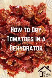 How To Dry Tomatoes In A Dehydrator Recipe Recipes Dried Vegetables Dehydrator