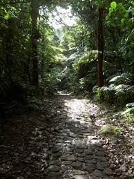 Die hauptinsel guadeloupe besteht aus zwei inselhälften unterschiedlicher entstehung. Nationalpark Guadeloupe Wikipedia